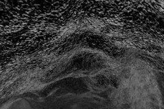 cyfest_exb_Carla_Chan_1-820x600