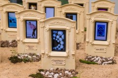 cyfest_exb_dogsrun_1-820x600