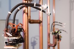 cyfest_exb_frants_3-820x600