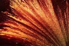 cyfest_exb_lei_1-820x600