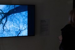 20201226-IMG_6577-1600x800