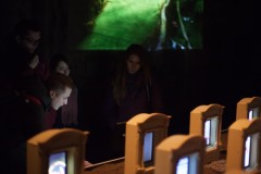 2018_02_11_cyfest_goryanoy_10-820x600