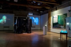 HYBRIS. Monsters and Hybrids in Contemporary Art