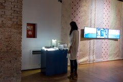 HYBRIS. Monsters and Hybrids in Contemporary Art