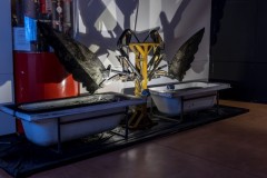 HYBRIS. Monsters and Hybrids in Contemporary Art