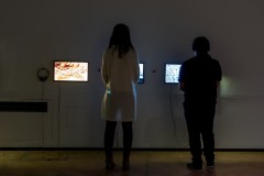 HYBRIS. Monsters and Hybrids in Contemporary Art