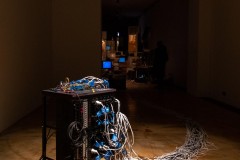 20210205-IMG_7882-1600x800