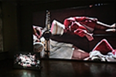 Installation by Koen Theys Fanfare, Calme et Volupte