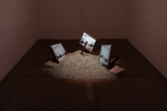 20211221-IMG_7969-800x600